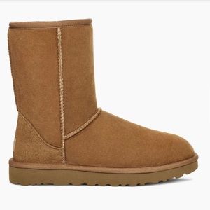 Short Classic Ugg Boots in Chestnut